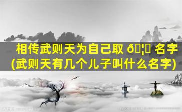 相传武则天为自己取 🦉 名字(武则天有几个儿子叫什么名字)